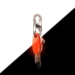 NextGloT Key ID Tag - Assorted