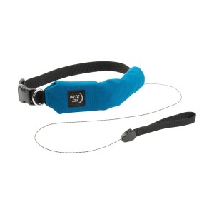 RadDogT All-In-One Collar + Leash - X Large - Blue