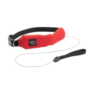 RadDogT All-In-One Collar + Leash - Medium - Red